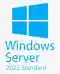 windows-serwer